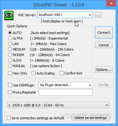 UltraVNC Viewer：localhost :: 5901