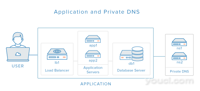 DNS +应用图