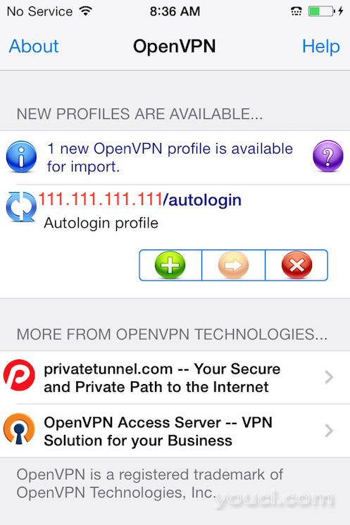 OpenVPN iOS应用程序显示准备导入的新配置文件