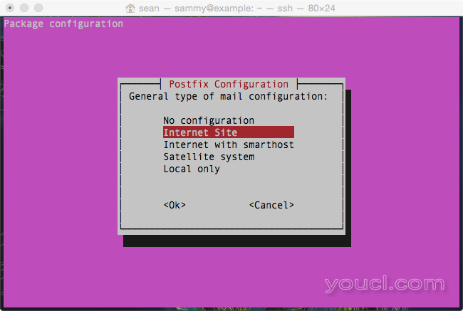选择Postfix邮件服务器类型：Internet站点