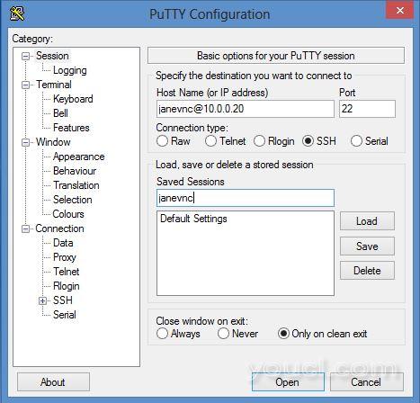 PuTTY配置中的会话详细信息