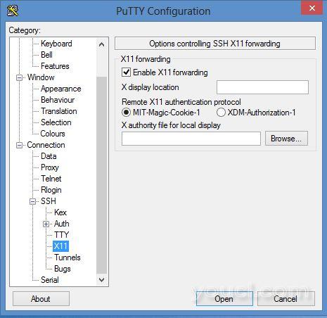 PuTTY配置中的X11转发