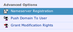 NameCheap注册Nameservers