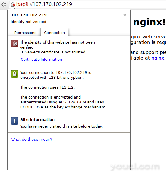 Nginx SSL信息