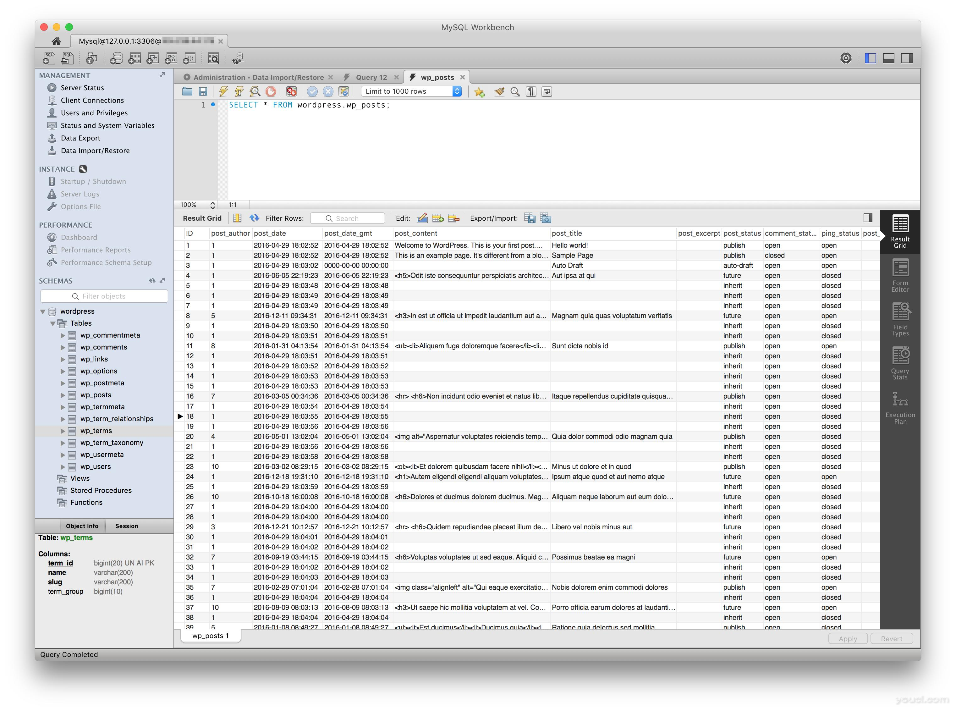 在MySQL Workbench中的表查询