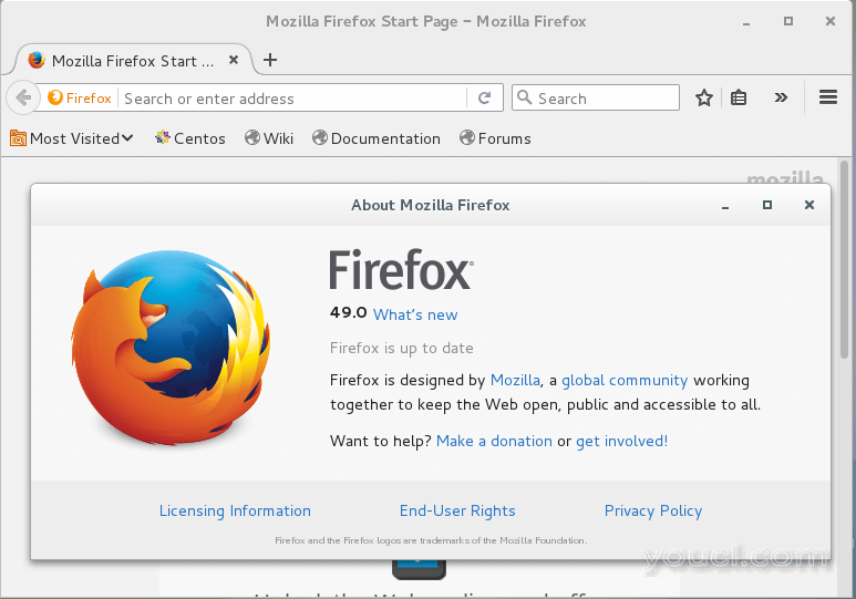 Фаерфокс мания. Mozilla Firefox краткая характеристика. Стиль Firefox. Firefox 49. Кастомный фаерфокс.