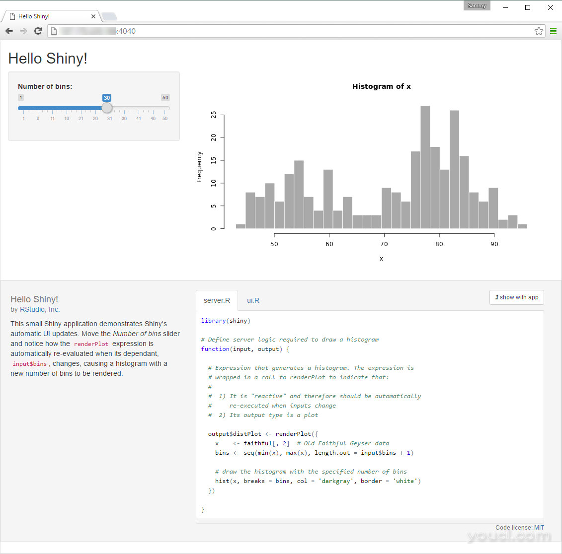 Shiny的01-Hello示例Screenhot