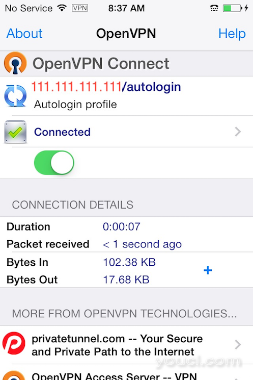 OpenVPN iOS应用程序连接到VPN