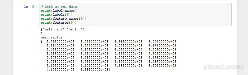 具有三个Python单元格的Alt Jupyter Notebook，它将打印数据集中的第一个实例