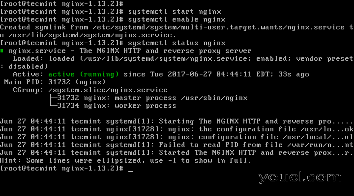 启动并启用Nginx