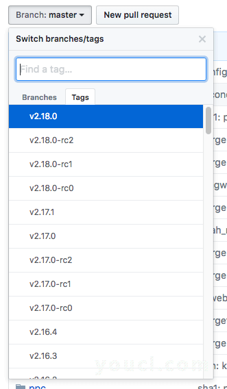 git更改分支选择标签